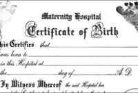 30 Editable Birth Certificate Template | Andaluzseattle Within Stunning Fake Birth Certificate Template