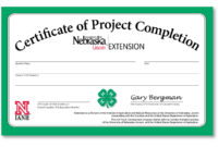 Project Completion Certificates Available | Announce Throughout Certificate Template For Project Completion