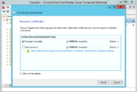 Virtual Smart Cards Within Amazing Domain Controller Certificate Template