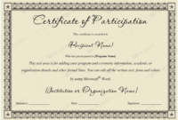 Certificate Of Participation 12 Word Layouts Throughout Certificate Of Participation Word Template
