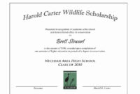 Scholarship Award Certificate Template Mathosproject With With Regard To Simple Academic Award Certificate Template