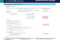 Account Plan Pro Overview Sales Plan Templates For With Regard To Account Management Policy Template