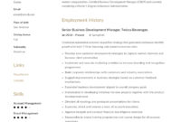 Business Development Manager Resume &amp;amp; Guide | 12 Templates With Awesome Business Management Resume Template