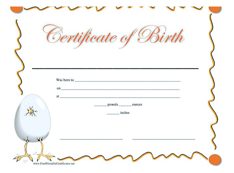 Cute Looking Birth Certificate Template Pertaining To Stunning Girl Birth Certificate Template