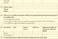 Dentity, Rabies Vaccination And Movement Certificate For With Top Rabies Vaccine Certificate Template