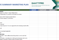 Executive Summary Marketing Plan | Free Download | Excel Intended For Project Management Summary Template