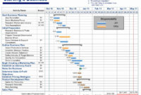 Expansion Plan Template Lovely Free Project Management Within New It Program Management Plan Template