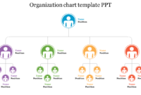Model Organization Chart Template Ppt Slideegg Throughout Management Organizational Chart Template