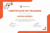 Pinthomas Solomon On Training Certificate In 2020 Throughout Service Dog Certificate Template