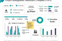 Project Management Dashboard Budgetemployee With Free Sales Project Management Template