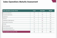 Sales Operations Maturity Assessment Productivity In Project Management Maturity Assessment Template