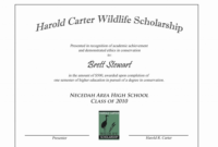 Scholarship Award Certificate Template Mathosproject In Inside Awesome Scholarship Certificate Template Word