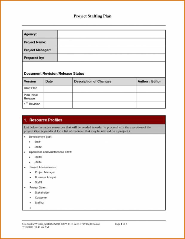 Staffing Plan Template | Template Business With Regard To New Staffing Management Plan Template