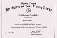 Training Certificate Format Doc Planner Template Free Inside Stunning Template For Training Certificate