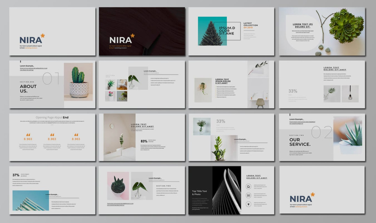 Best Free and Paid InDesign Presentation Templates (