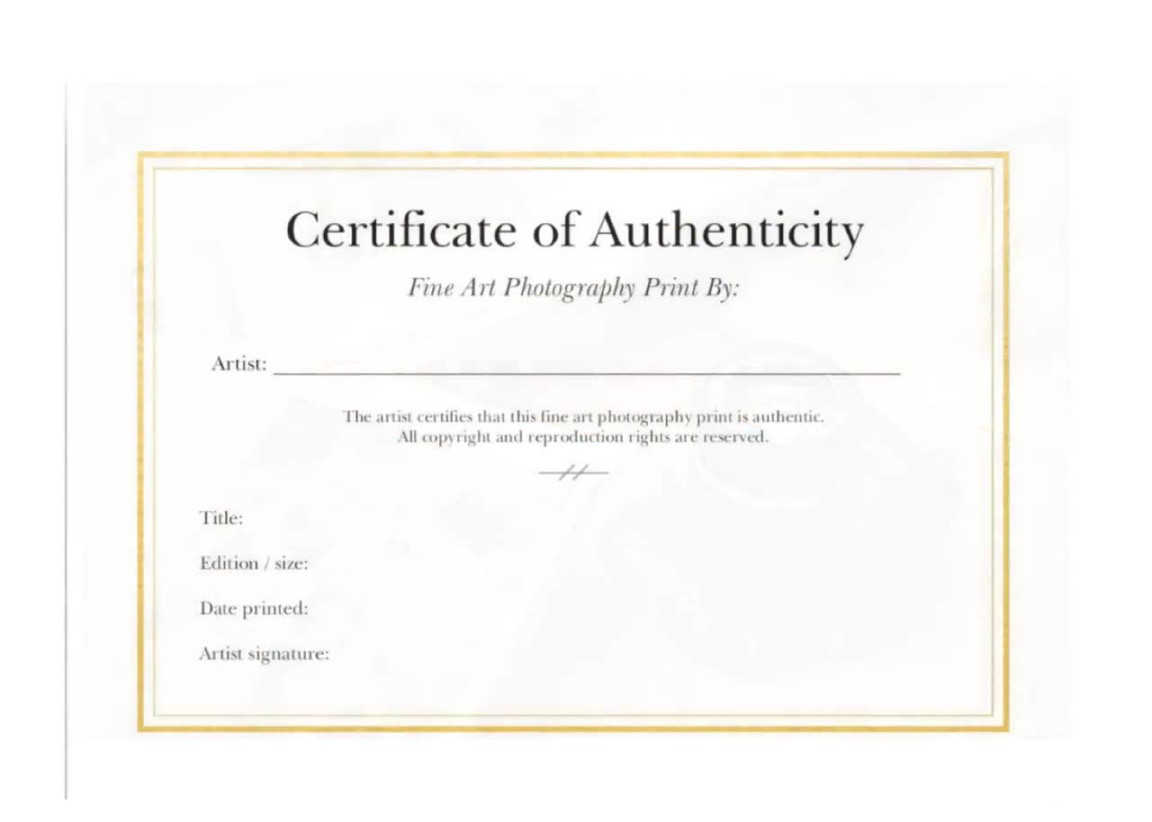 Certificate of Authenticity for Photography - Etsy