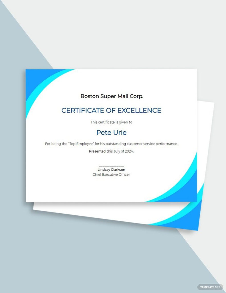 Editable Customer Service Certificate Template in Word, Publisher