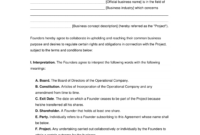 Founders’ Shareholder Agreement Template: A Comprehensive Guide