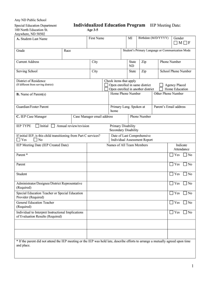 A Blank IEP Template