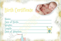 Template For Newborn Baby’s Birth Certificate