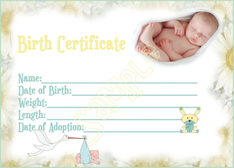 NEW ARRIVAL Reborn Baby Doll Birth Certificate Instant Download