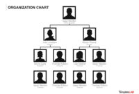 A Comprehensive Free Blank Organizational Chart Template