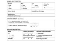 Dog Vaccination Certificate Template