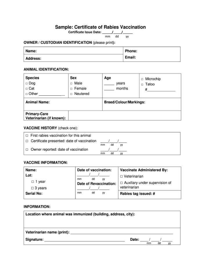 Rabies Certificate Template - Fill Online, Printable, Fillable