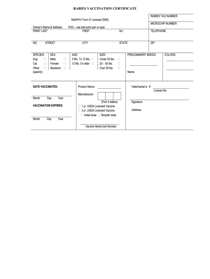 Rabies certificate template: Fill out & sign online  DocHub